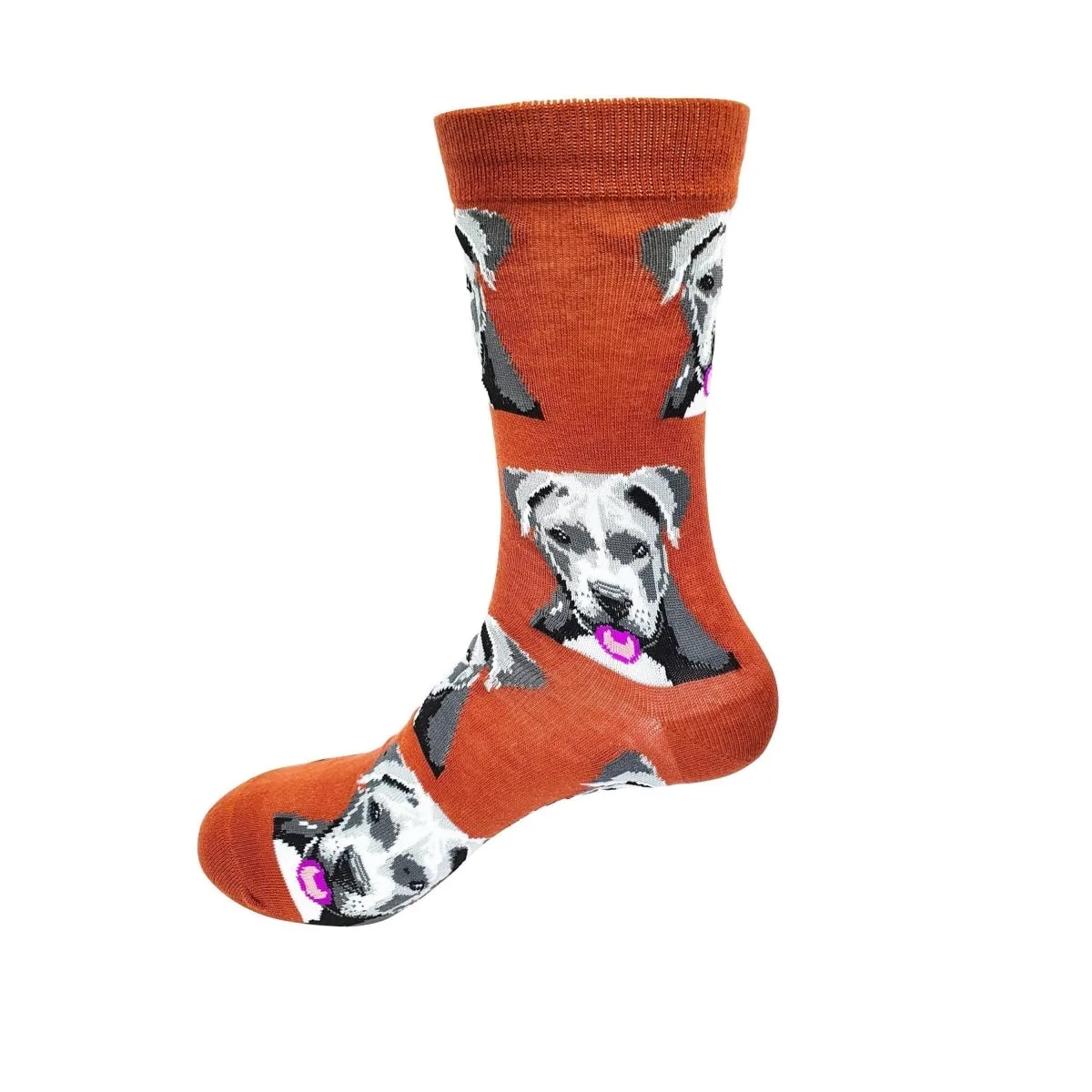 Animal Socks Dogs Staffy
